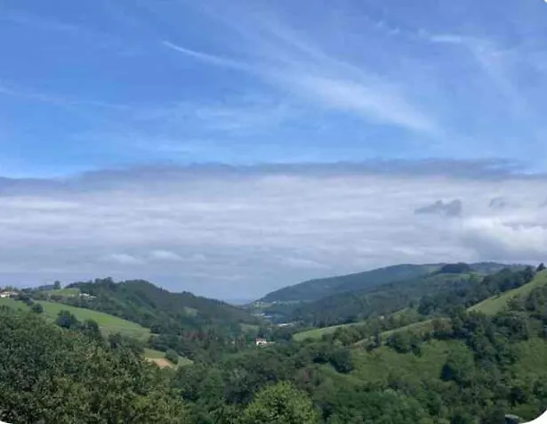 Проживание в семье Loft En